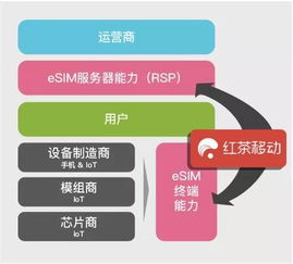 eSIM連接技術(shù) 大數(shù)據(jù)服務(wù)的攪局者還是推動(dòng)者？